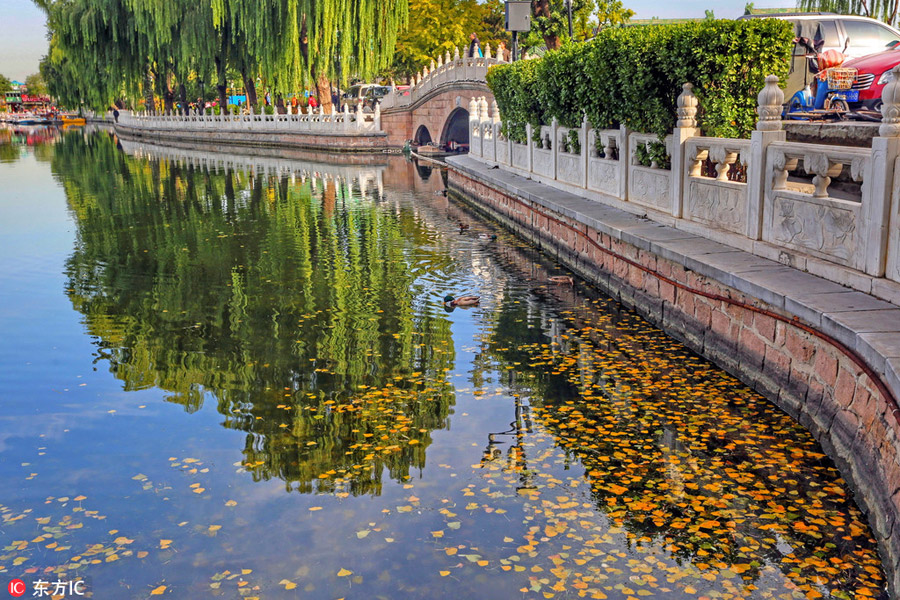 Autumn scenery in Shichahai