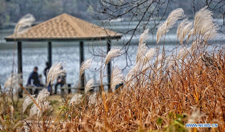 Autumn scenery of Yudu Mountain in Beijing