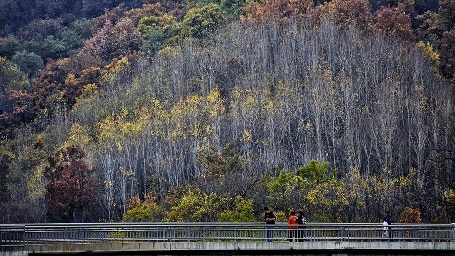 Autumn scenery of Yudu Mountain in Beijing