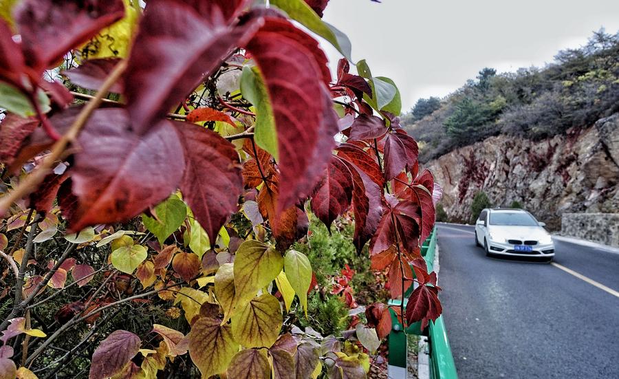 Autumn scenery of Yudu Mountain in Beijing