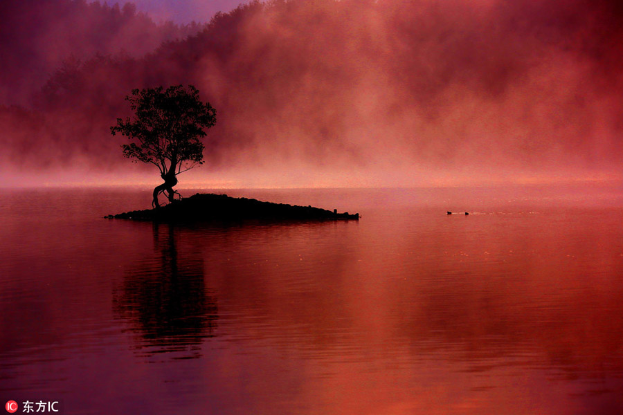 Morning mist reveals beauty of Huangshan Mountain