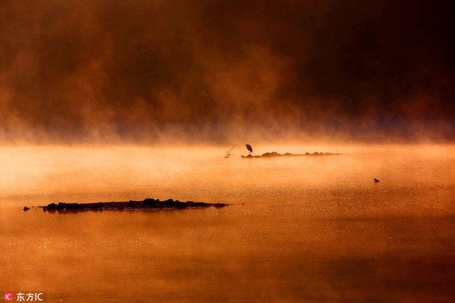 Morning mist reveals beauty of Huangshan Mountain