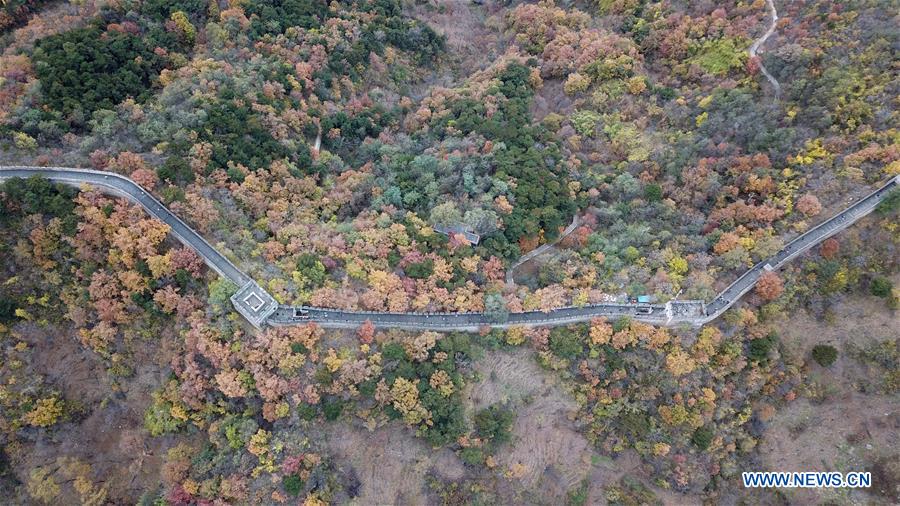 Autumn scenery of Beijing's Mutianyu Great Wall