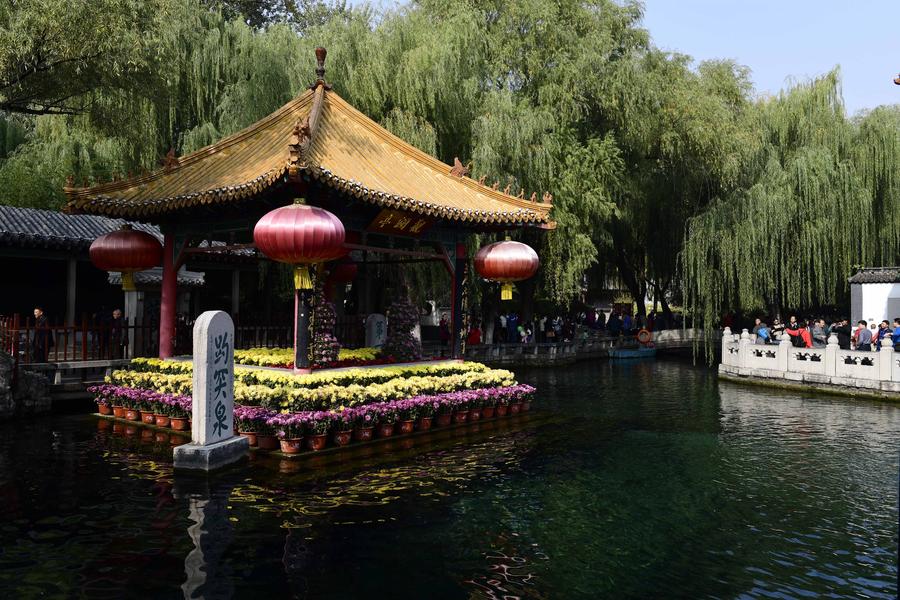 Blooming chrysanthemum displayed in E China's Baotu Spring Park