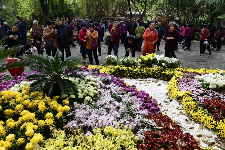 Blooming chrysanthemum displayed in E China's Baotu Spring Park