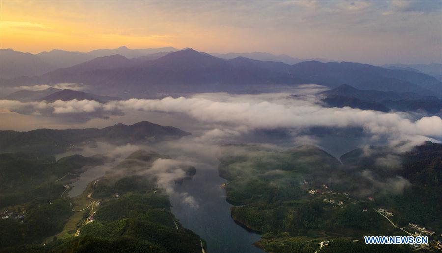 Scenery of bamboos forest, sea of clouds in China's Anhui