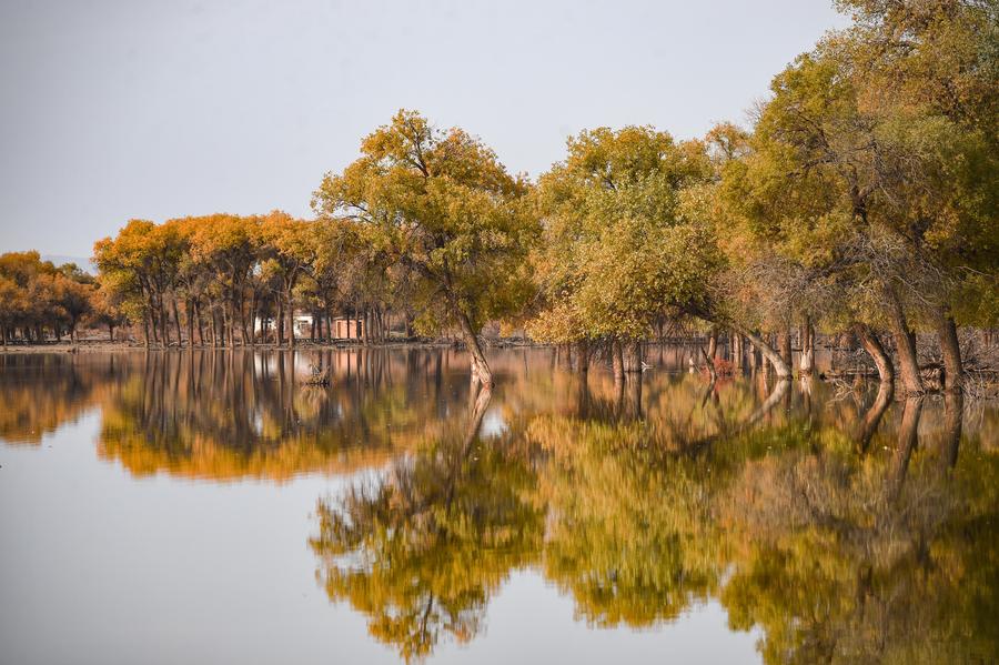 Autumn wonders around China: Photos that grasp the best moments of the season