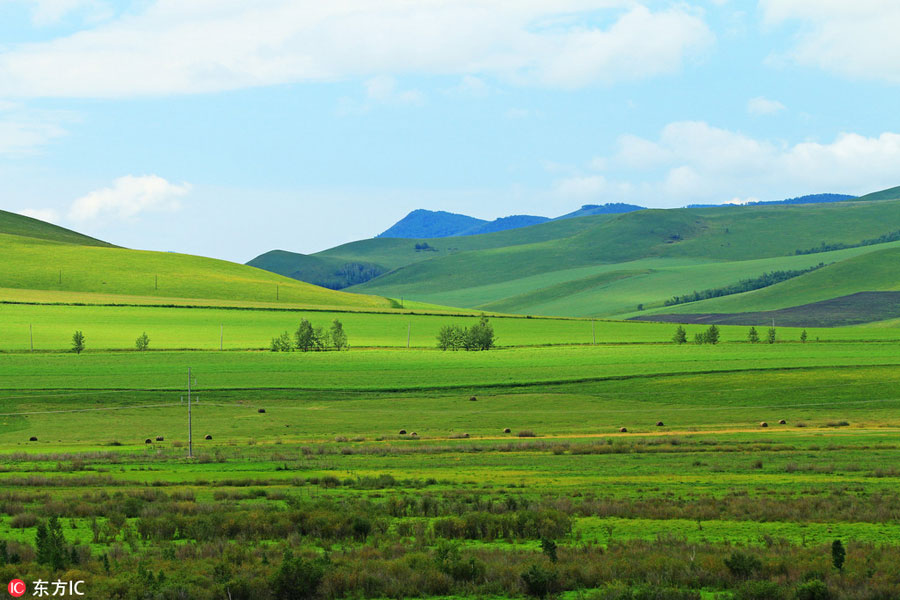 China's renowned pure grassland: Hulunbuir Grassland