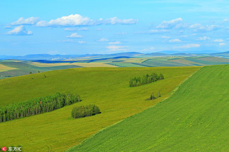 China's renowned pure grassland: Hulunbuir Grassland