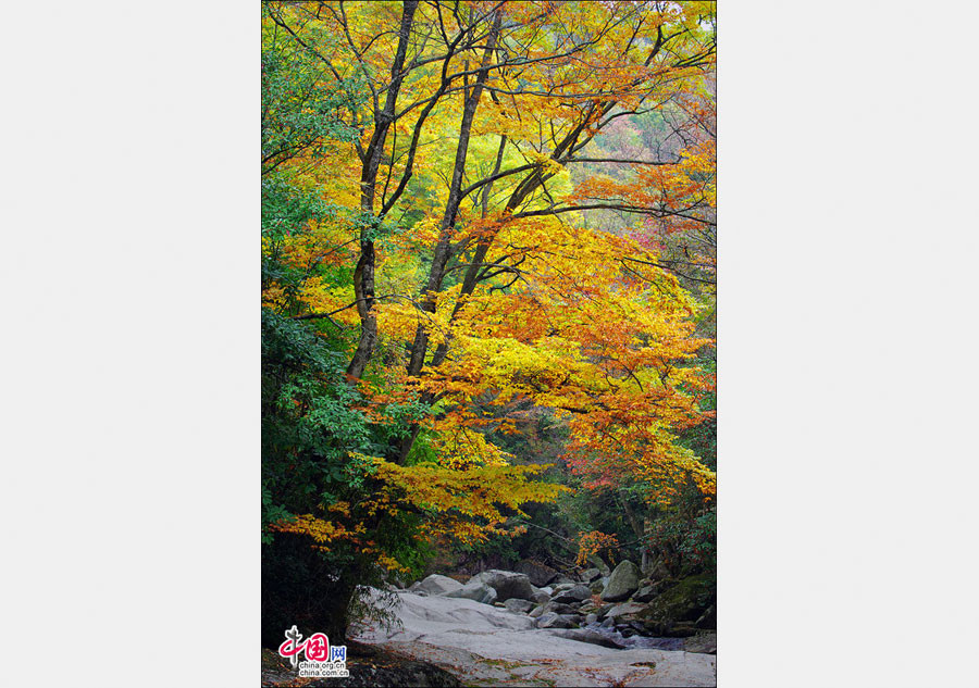 Autumn scenery of Guangwu Mountain in SW China