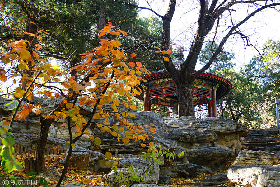 Charming campus scenery in Beijing