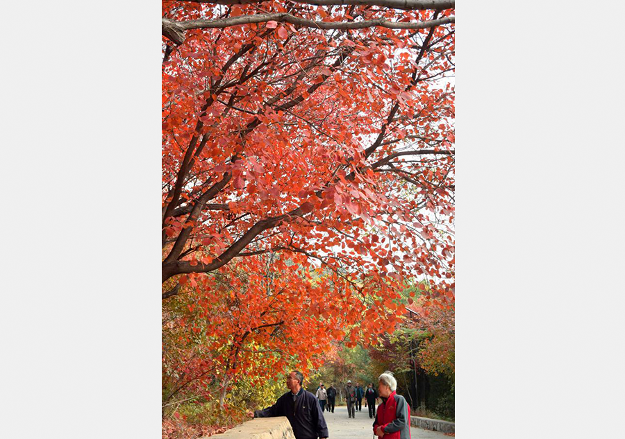 Autumn scenery of Qianfoshan Park in E China