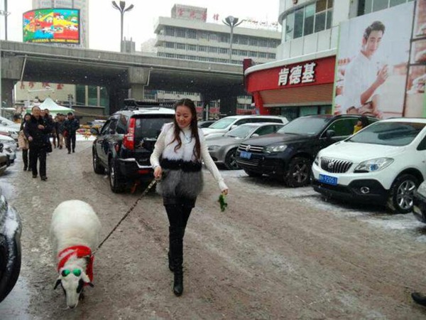 A policeman's endeavor to keep road safe