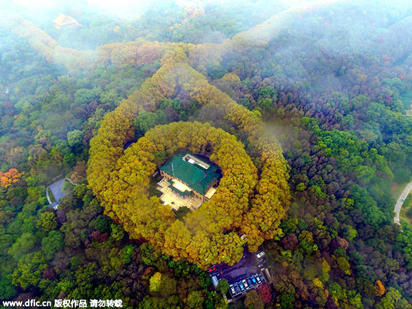 Emerald 'necklace' seen from the sky