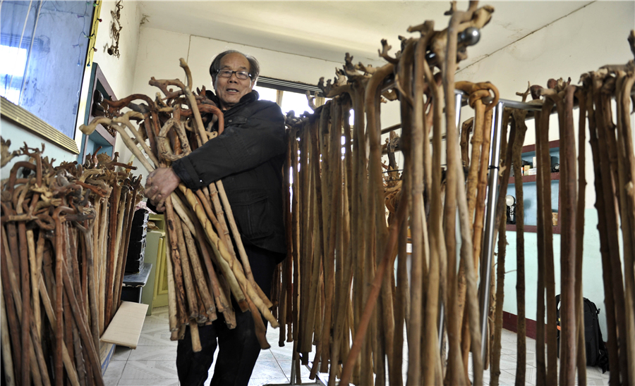 74-year-old 'trains' trees to become walking sticks