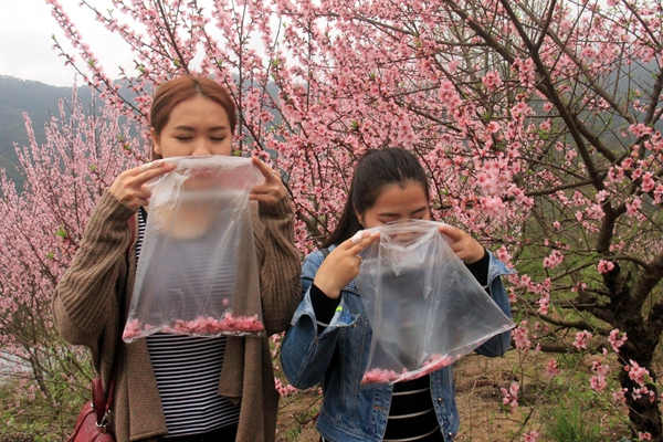 Villagers sell fresh air to urban residents in Guangdong