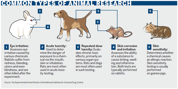 Tightening leash on testing