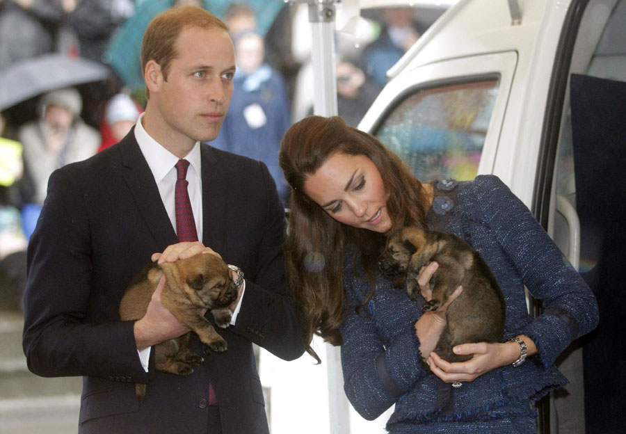 British royal family's last day in NZ