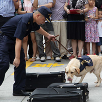 China helps fight international war on drugs