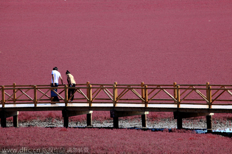 Top destinations in China for autumn photography