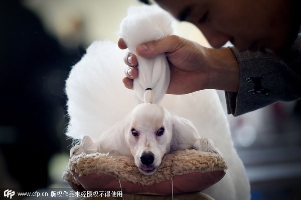 China International Pet Show opens in Beijing