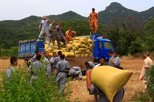 Shaolin monks harvest bumper crop