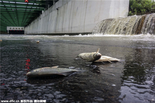 Heavy rain, flood hit many parts of China