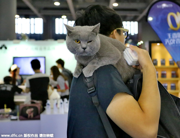 Cats and dogs of China come together at Aqua Fair Asia 2015