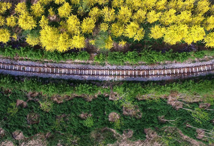 Aerial view of Tianjin's country park