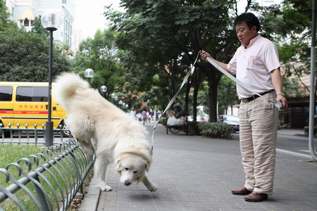 Shanghai looks at a one-dog policy