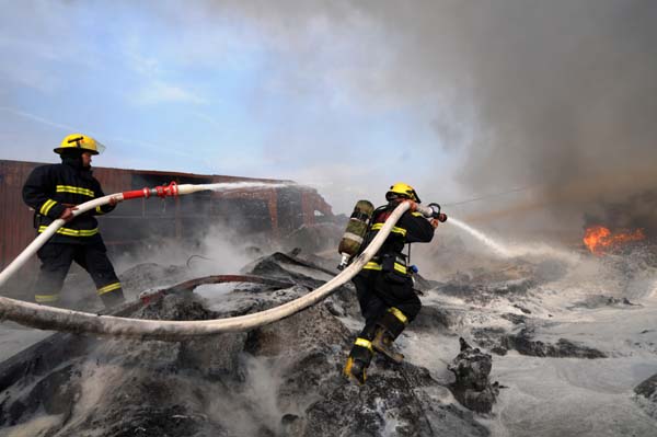 Water dragons devour fire