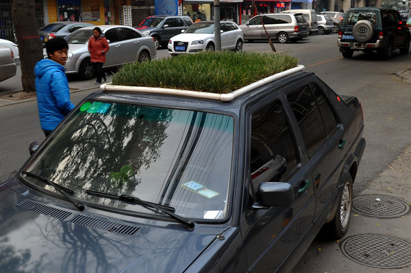 Car with a lawn