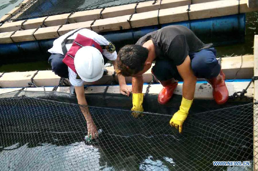 Sea water around S China's Miaowan Island polluted by heavy oil