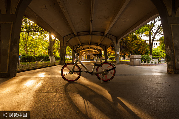 Top 10 cities with most shared bike riders