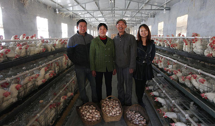 Migrant couple returns to hometown to raise chickens