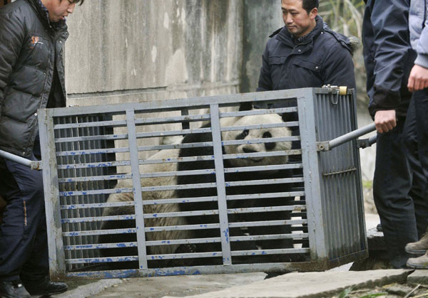 Japan awaits pandas arriving from China