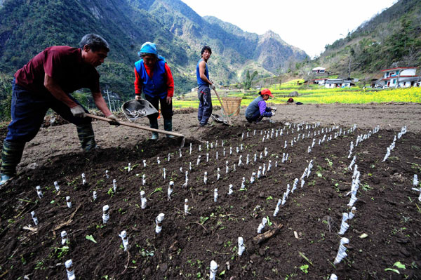 Spring farming dawns in SW China