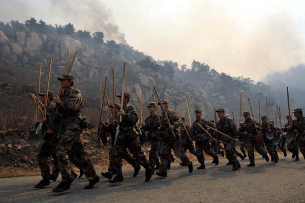 Forest fire breaks out in North China