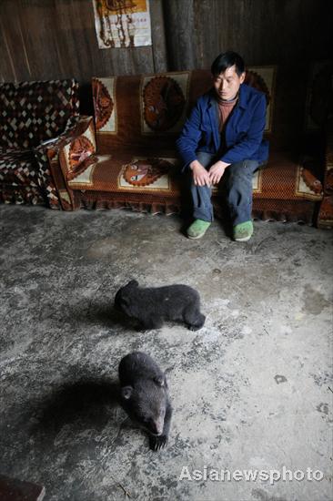 Farmer in Sichuan adopts twin bears