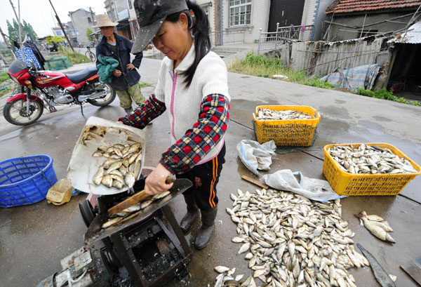 Severe drought ravages Central and East China