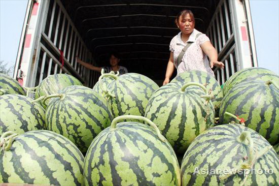 Watermelons burst up, so does the sale