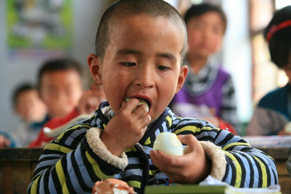 One-egg-a-day scheme improves pupils' diets