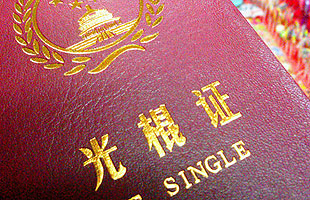 Special: Singles Day of the Century