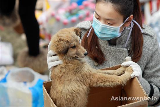 1,000 dogs saved from dining tables