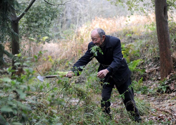 91-year-old plants 570,000 trees over 40 yrs