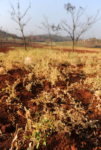 Continuous drought plagues SW China province