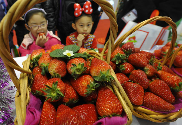 Strawberry fields are forever