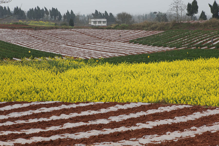 In photos: Spring, a time of renewal