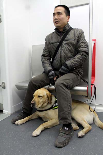 Hangzhou subway welcomes its first guide dog