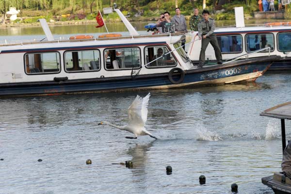 Beijing's 1st bird flu victim to be discharged